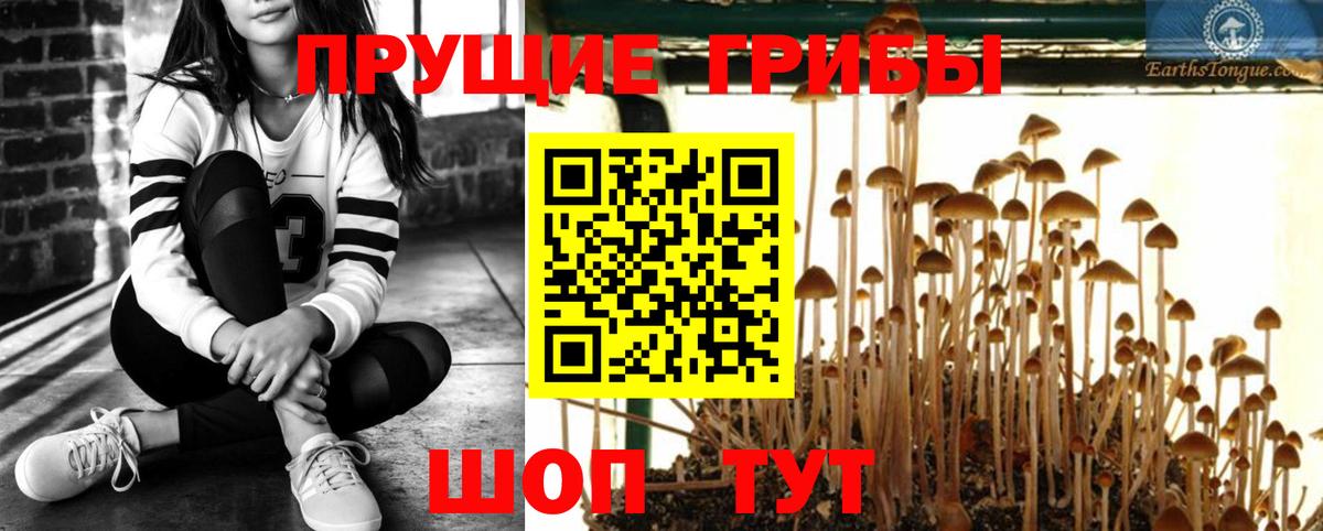 Кокаин  Конопля  APVP СК кристаллы  Вход с VPN  Азов  МЕФ кристаллы  Гашиш 